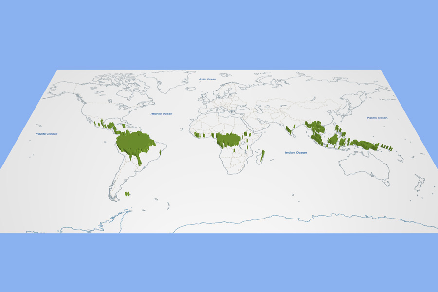 Distribution of tropical rainforests