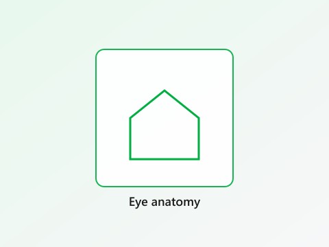 Eye anatomy