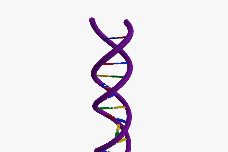 DNA